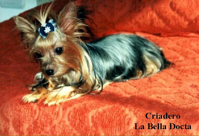 Juanita Mirsei - La Mama de Mi Pap&aacute;