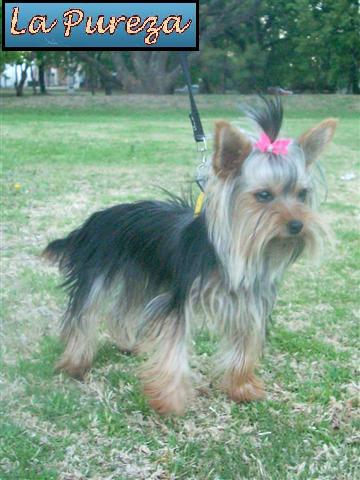 Lindda Shandy Kep - Mam&aacute; de Hugo de la Pureza